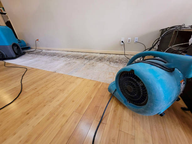 Professional Water Damage Repair technician working in Lucedale, MS